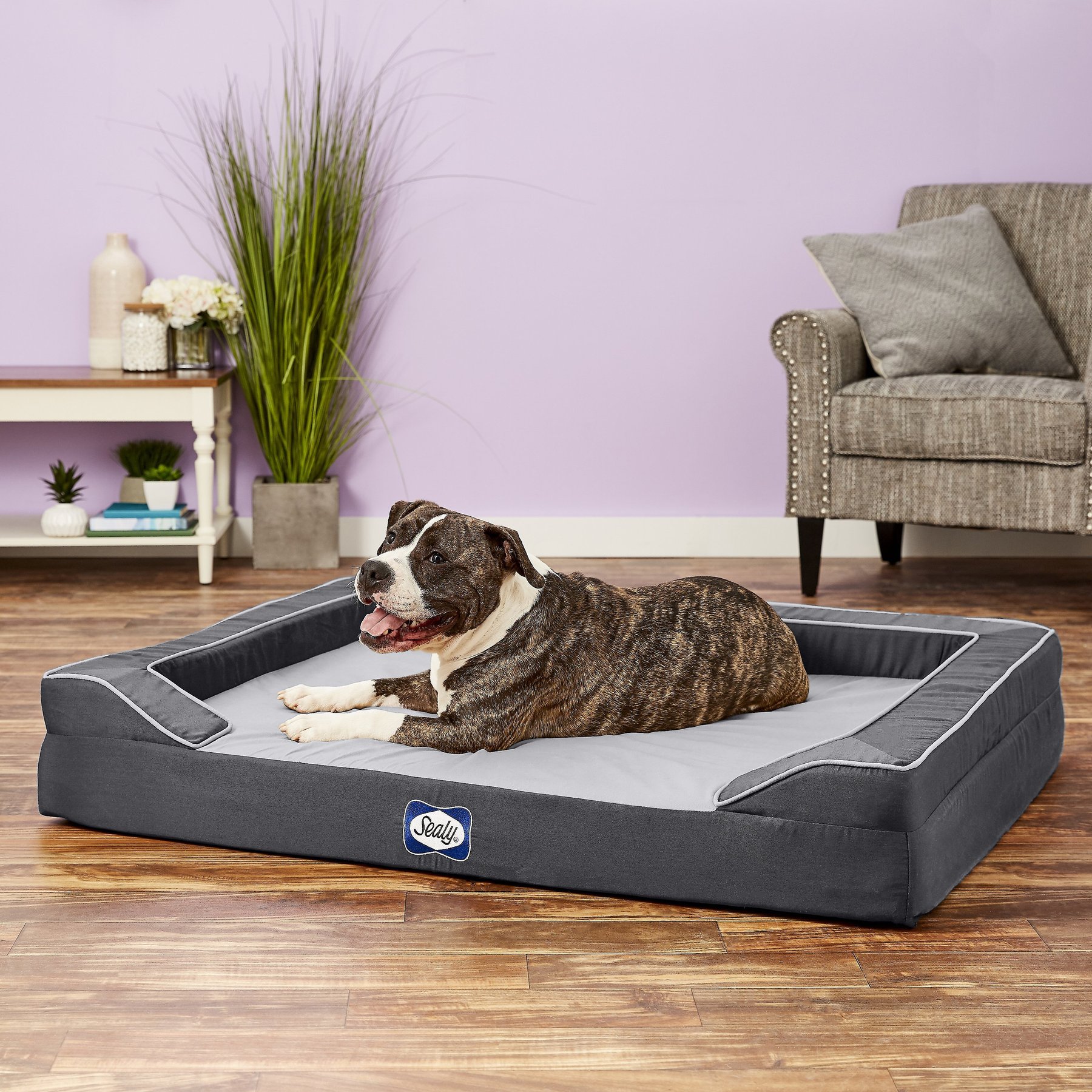 Sealy lux quad layer orthopedic outlet dog bed with cooling gel