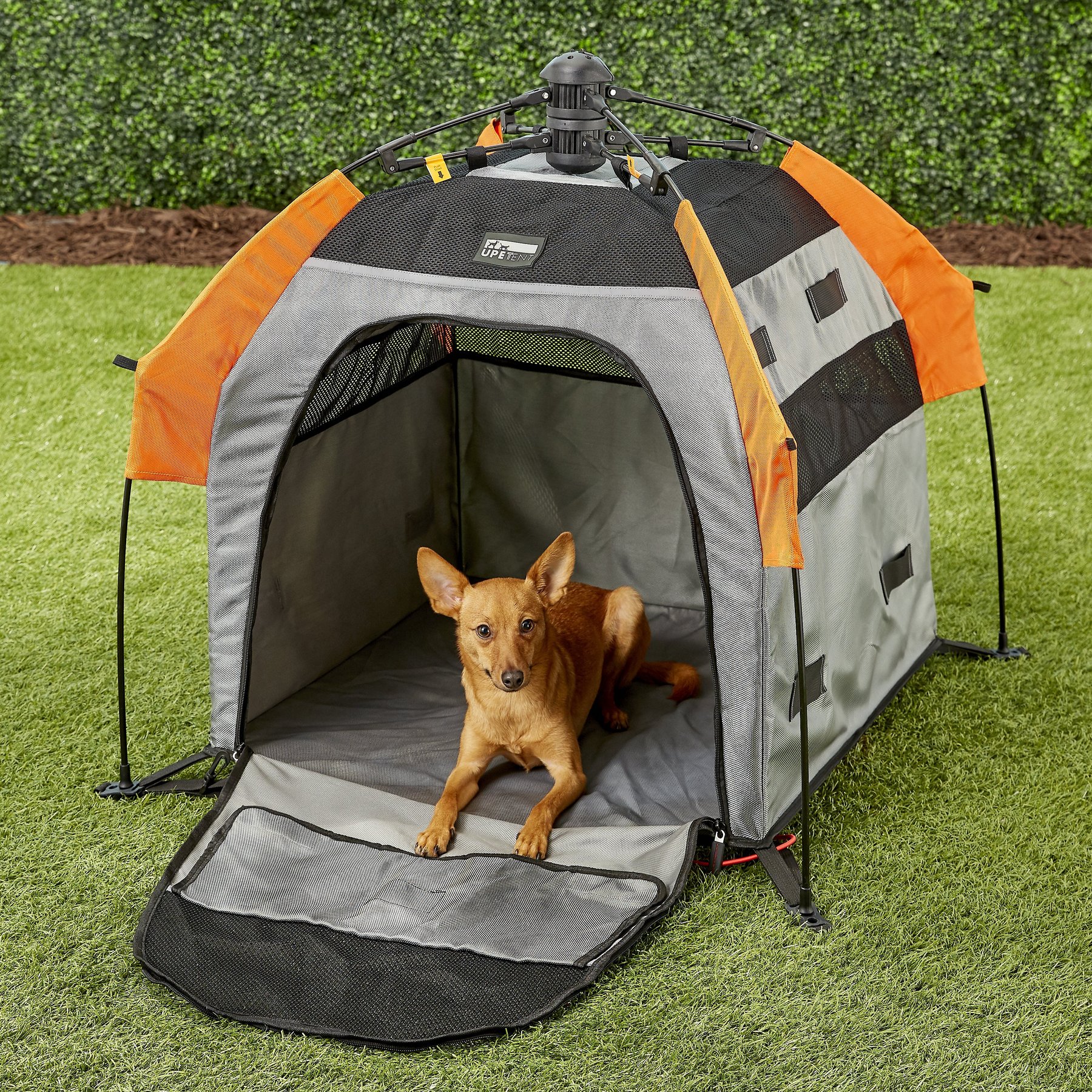 Petego umbra pet cheap portable dog tent