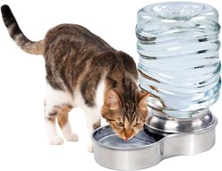 Etna Stainless Steel Gravity Refill Dog & Cat Waterer, 96-oz slide 2 of 3