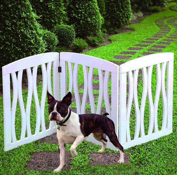 Chewy dog cheap fence