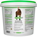 Equistro Epic Daily Immune Support Powder Horse Supplement, 4.4-lb bucket