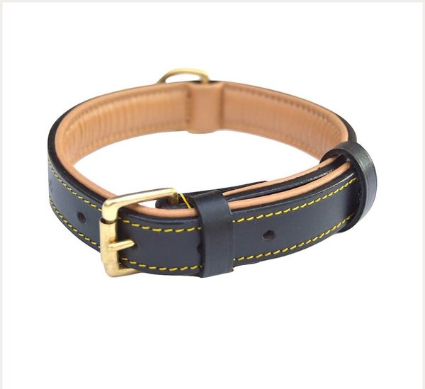 SOFT TOUCH COLLARS Leather TwoTone Padded Dog Collar, Black, Medium