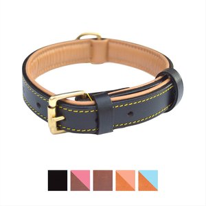 Soft Touch Collars Leather Two-Tone Padded Dog Collar, Black, Medium 