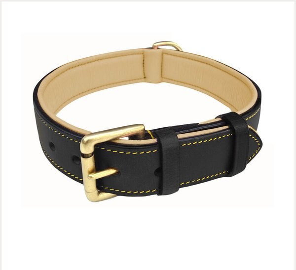 SOFT TOUCH COLLARS Leather TwoTone Padded Dog Collar, Black, Large
