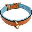 SOFT TOUCH COLLARS Leather Two-Tone Padded Dog Collar, Tan Teal, Small ...