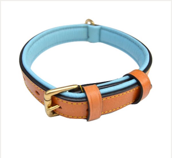 SOFT TOUCH COLLARS Leather Two-Tone Padded Dog Collar, Tan Teal, Medium 