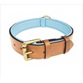 Soft Touch Collars Leather Two-Tone Padded Dog Collar, Tan Teal, Large 
