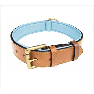 COLLARDIRECT Soft Padded Leather Dog Collar, Navy Blue, Large - Chewy.com