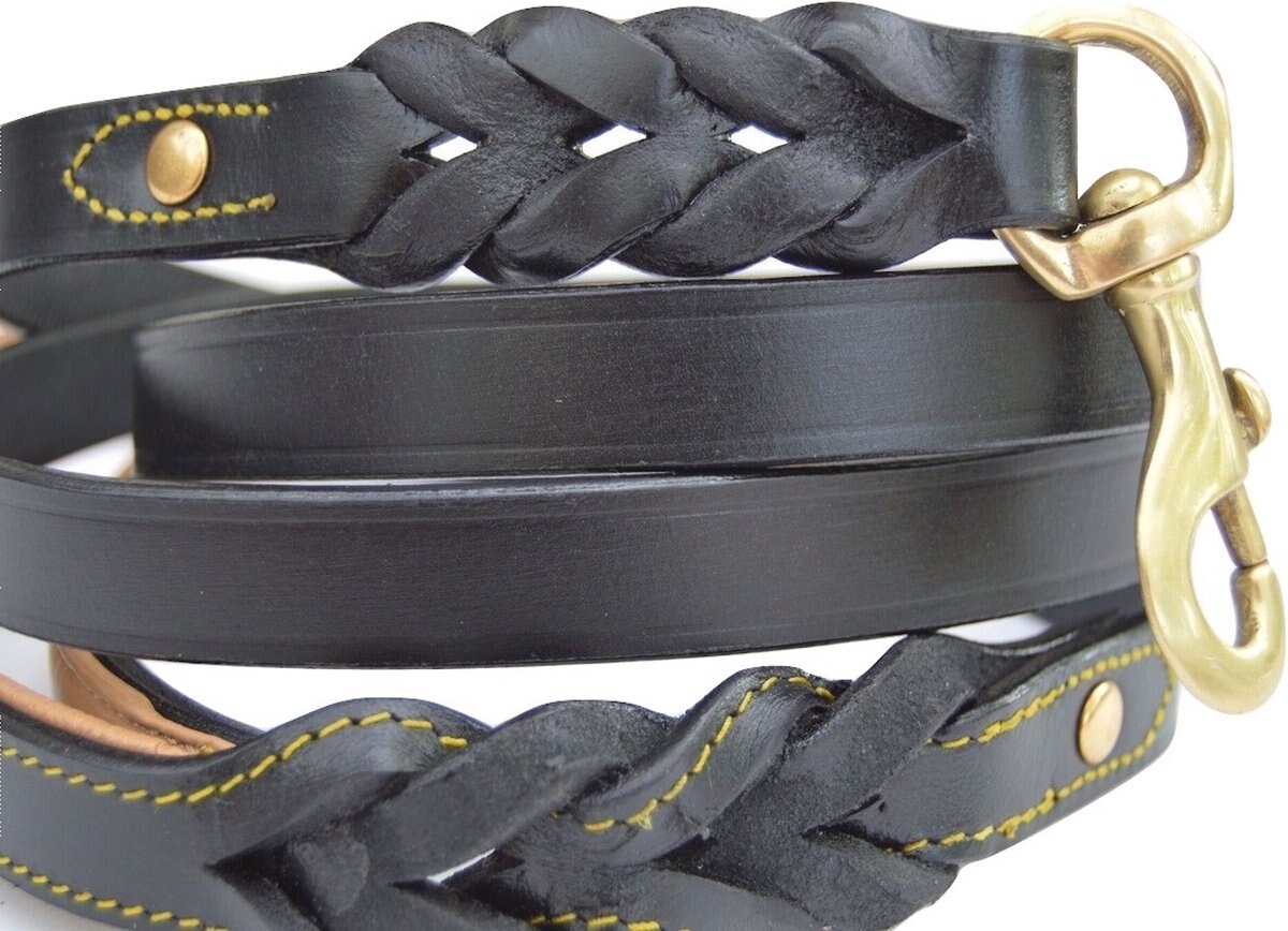 SOFT TOUCH COLLARS Leather Braided TwoTone Handle Dog Leash, Black, 6