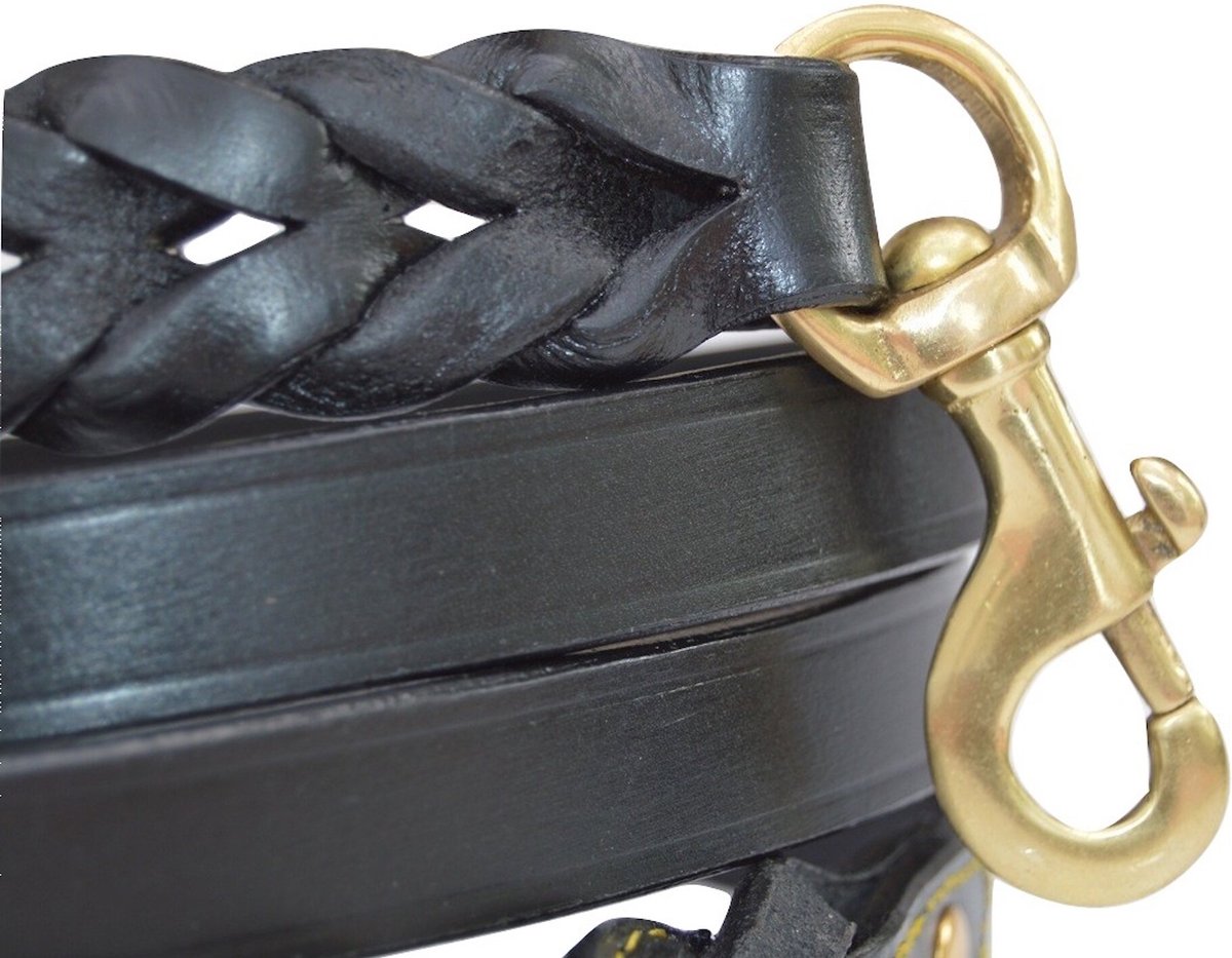 SOFT TOUCH COLLARS Leather Braided TwoTone Handle Dog Leash, Black, 4