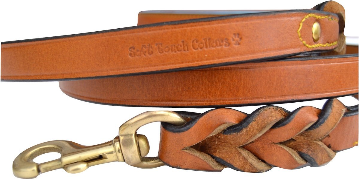 SOFT TOUCH COLLARS Leather Braided TwoTone Handle Dog Leash, Tan Teal