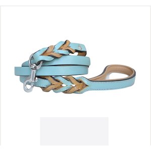 Soft Touch Collars Leather Braided Two-Tone Dog Leash, Turquoise Beige, 6-ft, 3/4-in