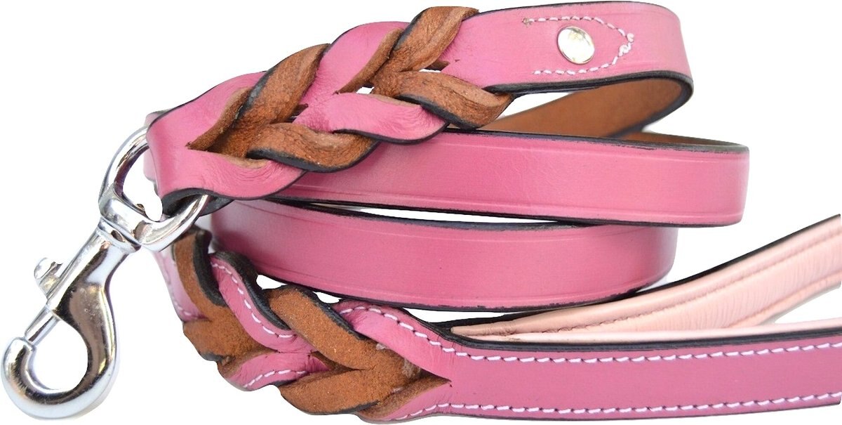 SOFT TOUCH COLLARS Leather Braided TwoTone Dog Leash, Pink, 6ft, 3/4