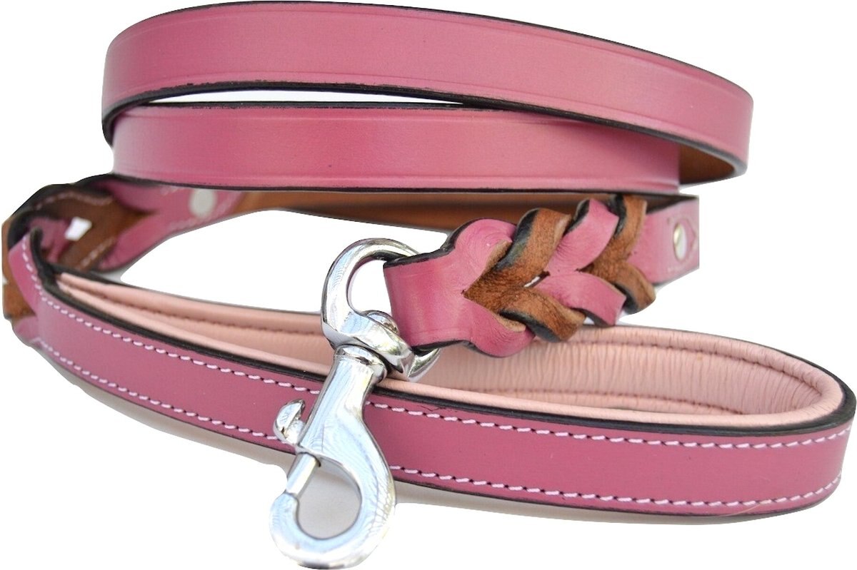 SOFT TOUCH COLLARS Leather Braided TwoTone Dog Leash, Pink, 6ft, 3/4