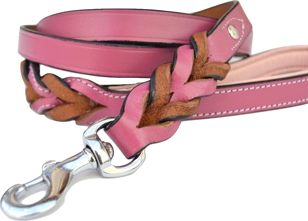 SOFT TOUCH COLLARS Leather Braided TwoTone Dog Leash, Pink, 6ft, 3/4