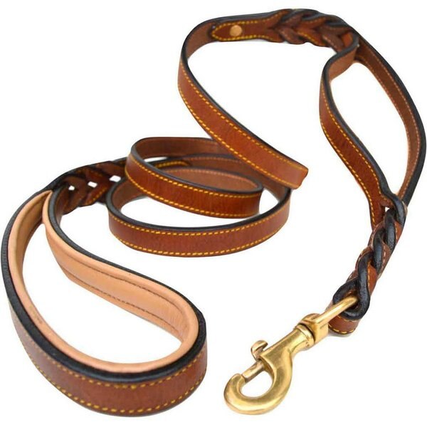 Angel Braided Traffic Dog Leash