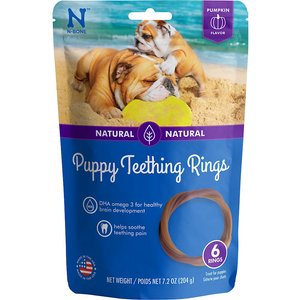 N-Bone Puppy Teething Ring Pumpkin Flavor Dog Treats, 6 count