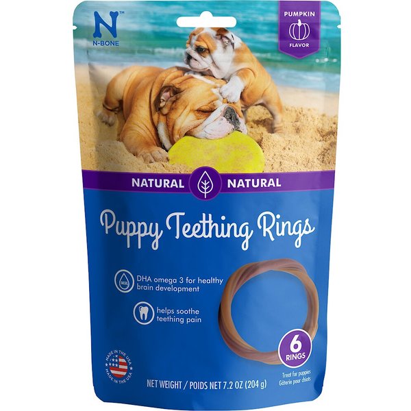 NBONE Puppy Teething Ring Pumpkin Flavor Dog Treats, 6 count