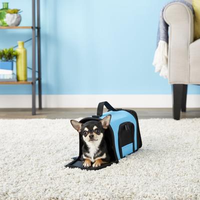 Show full view: Kaytee Come Along Small Animal Carrier, Color Varies, Small slide 2 of 5