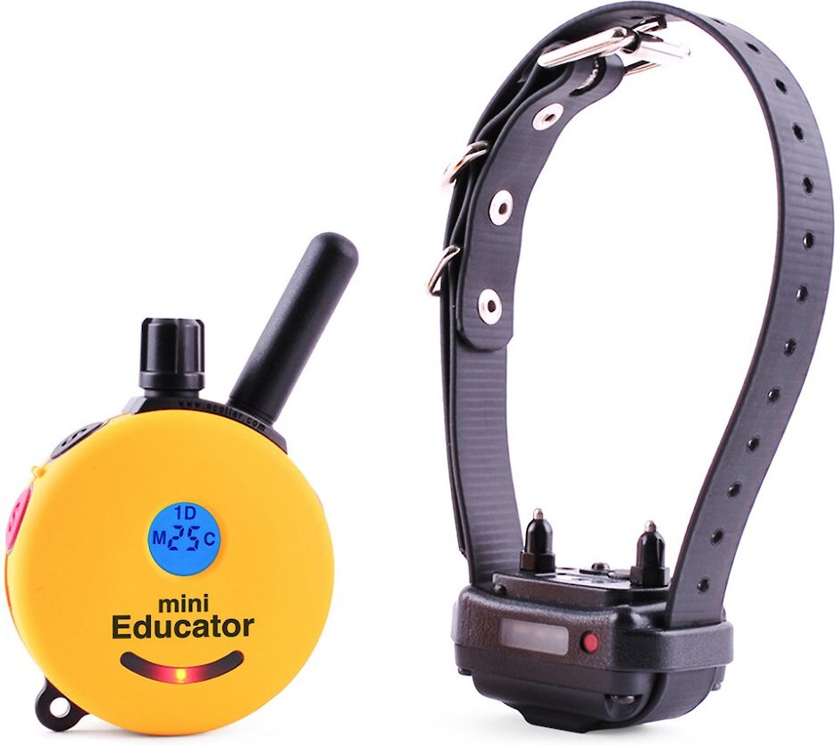 Best Dog Training Collar Under $300 Small Breeds - Educator Mini Remote Waterproof Dog Training Collar