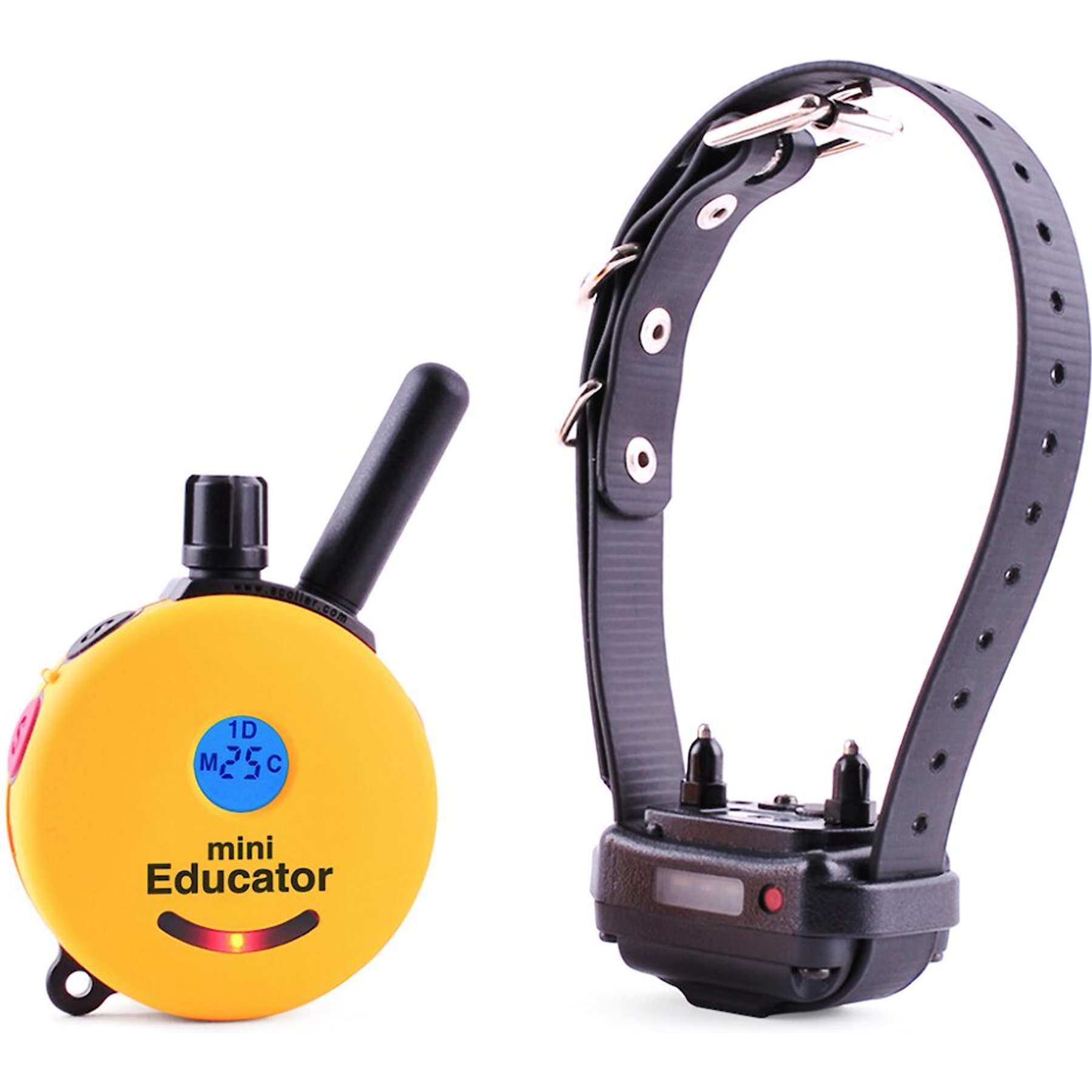 CUE Add on Yellow Ecollar with Safety Level Lock Boost Vibration Waterproof  Rechargeable for Small Medium Large Dogs Dog Training Collar by Dogtra 