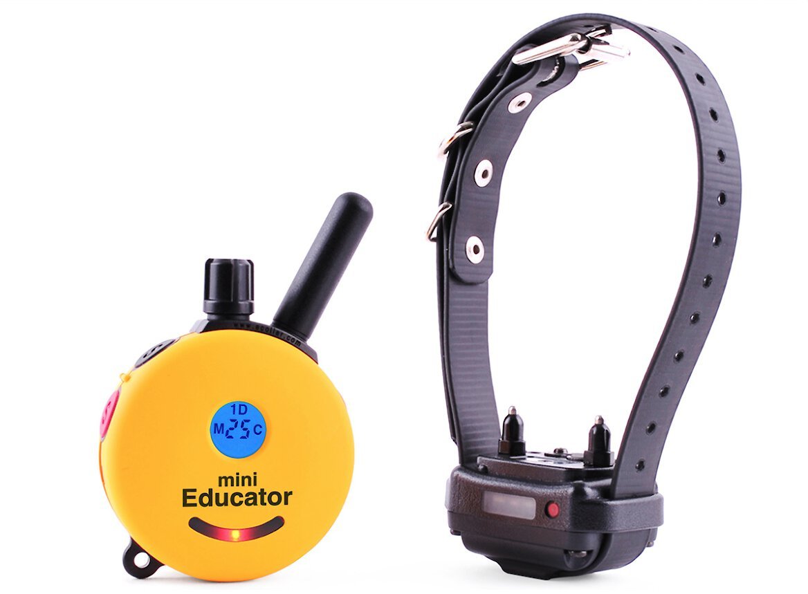 By E-Collar Technologies Mini 1/2 Mile Range Remote Waterproof Dog Training Collar