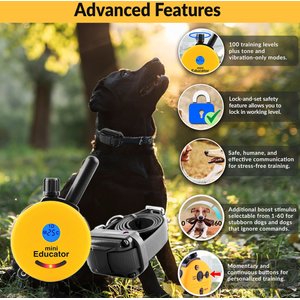 Educator By E-Collar Technologies Mini 1/2 Mile Range Remote Waterproof Dog Training Collar, 1 collar