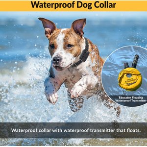 Educator By E-Collar Technologies Mini 1/2 Mile Range Remote Waterproof Dog Training Collar, 1 collar