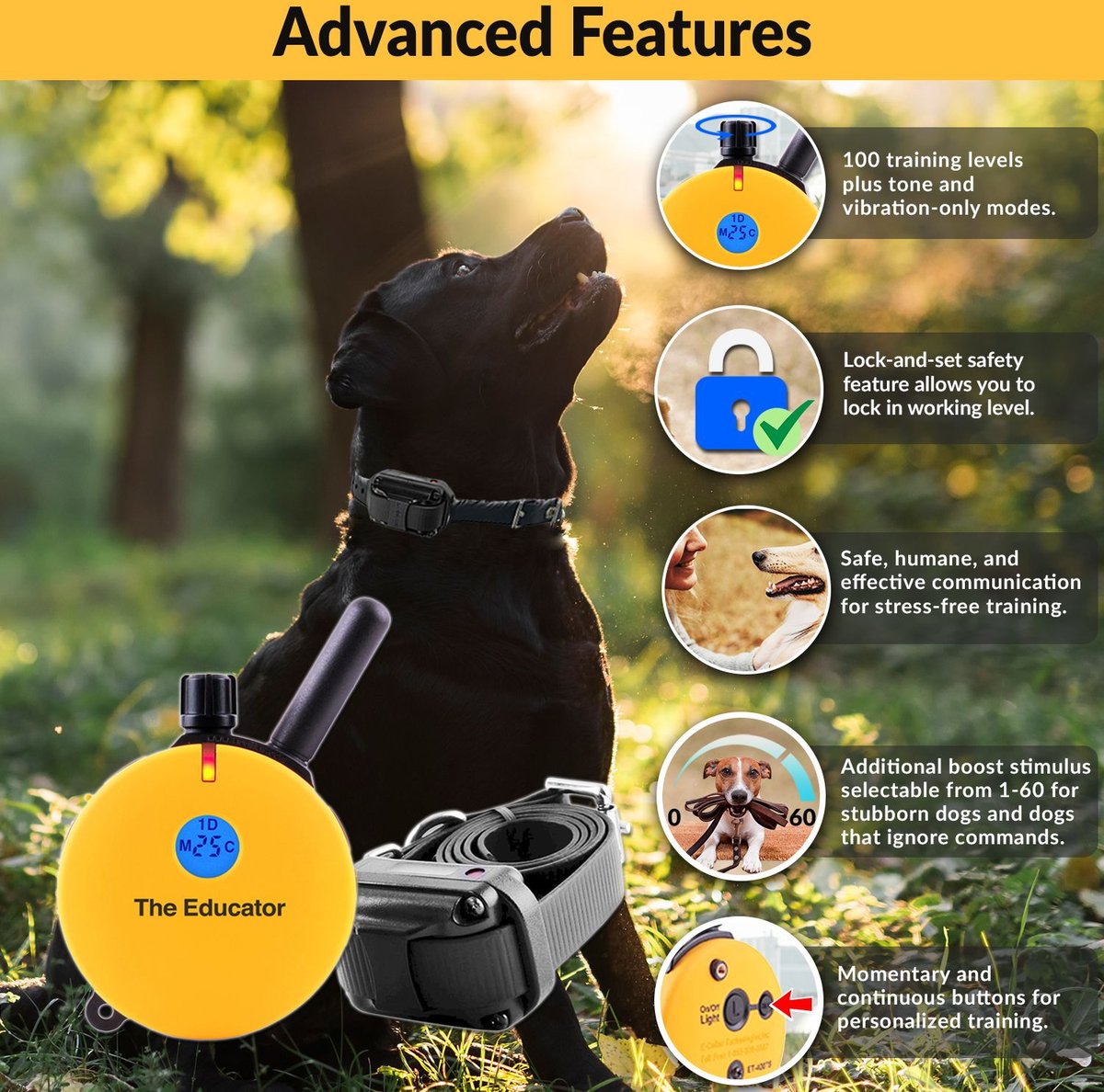 Educator By E-Collar Technologies 3/4 Mile Range Waterproof Dog Training Collar