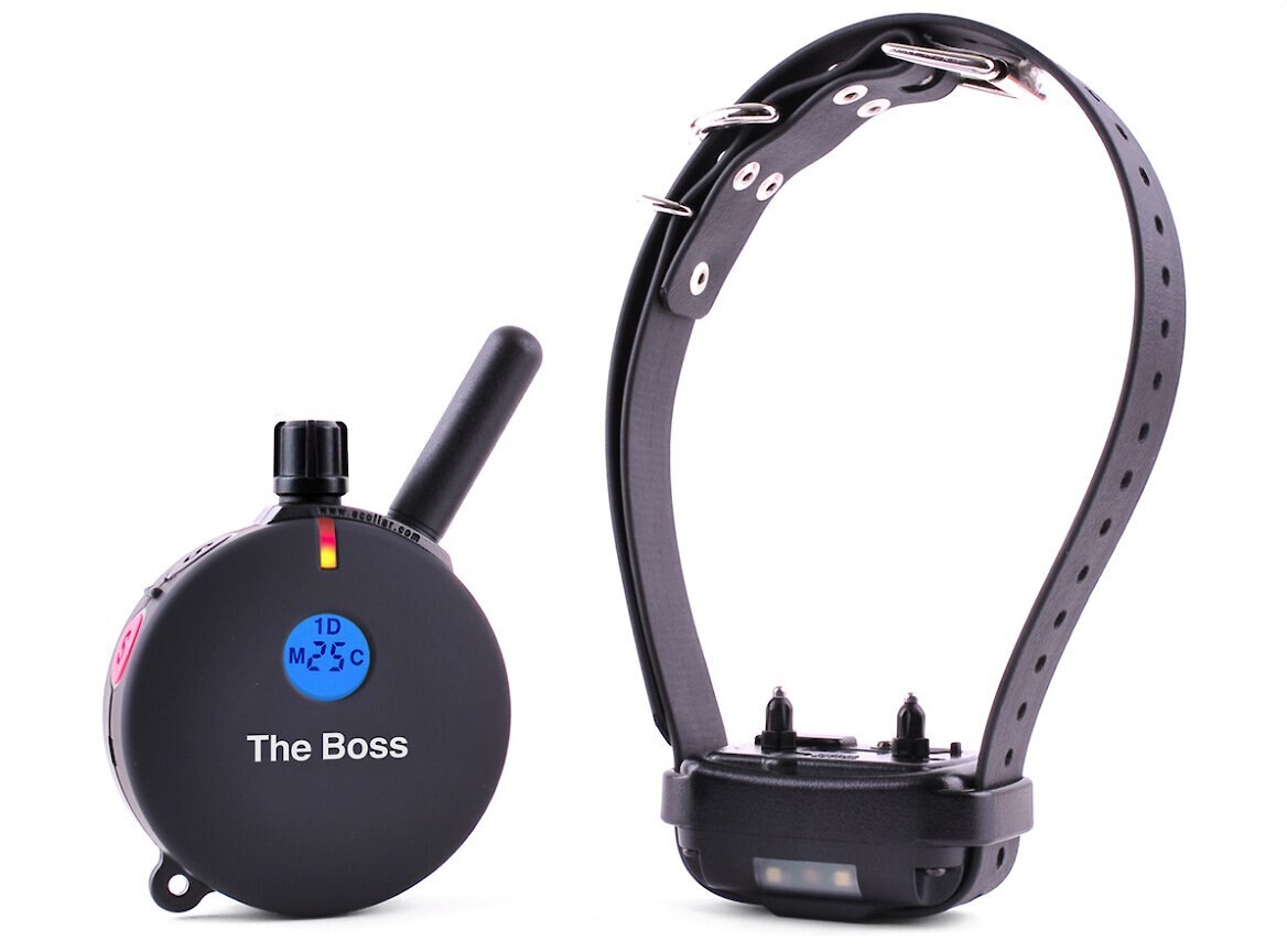 EDUCATOR By ECollar Technologies The Boss 1 Mile Range Waterproof Dog