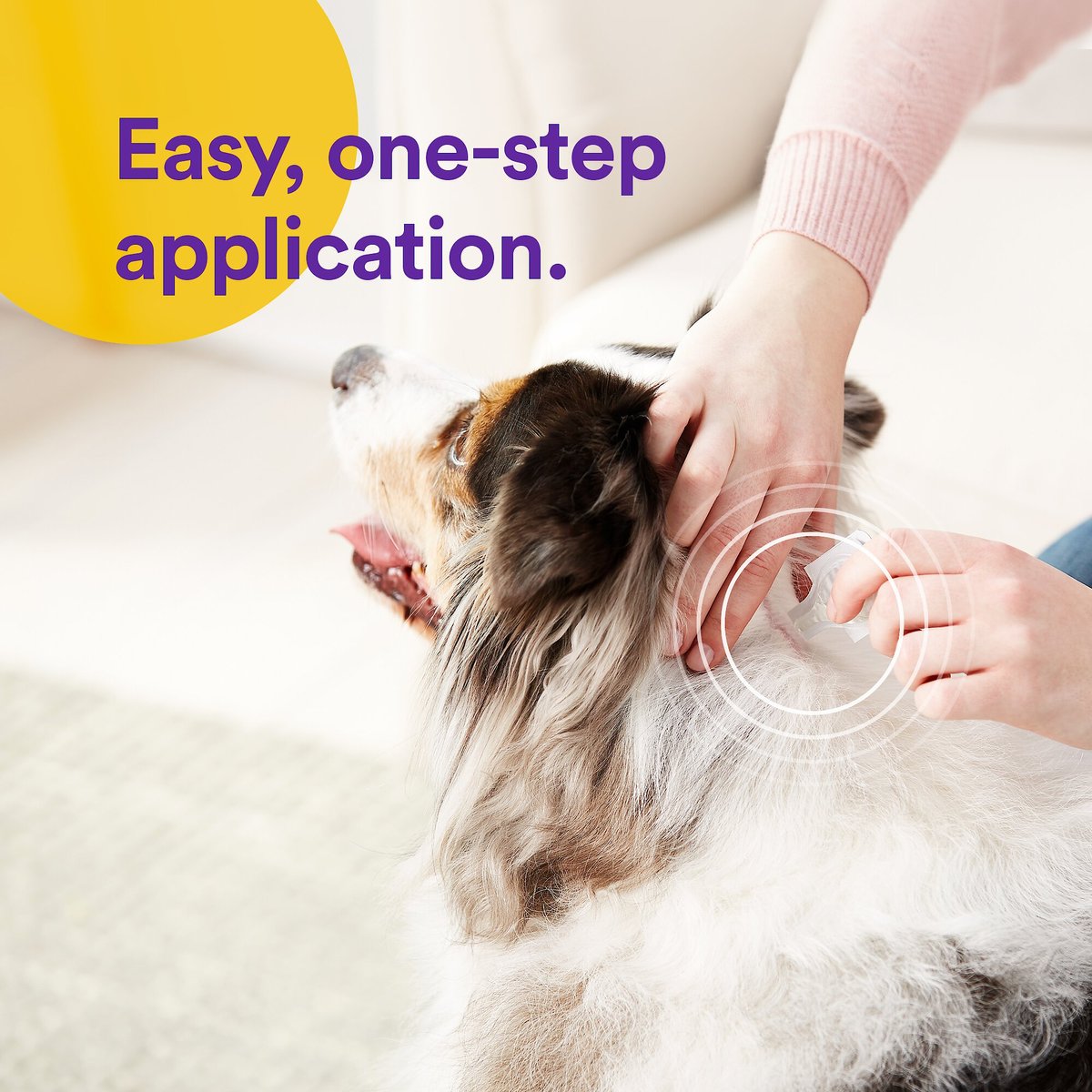 ONGUARD Flea & Tick Treatment for Dogs, 4588 lbs, 6 treatments