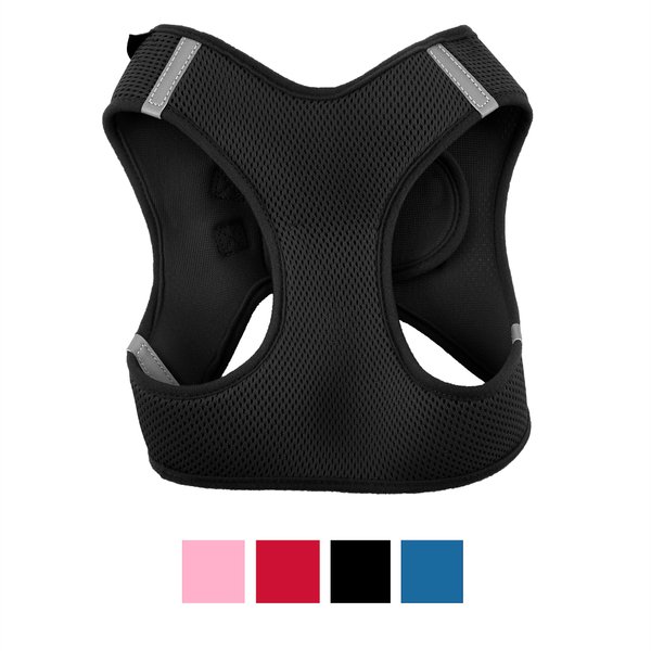 Frisco Small Breed Soft Vest Step In Back Clip Dog Harness, Black, 21 to 23-in chest slide 1 of 7