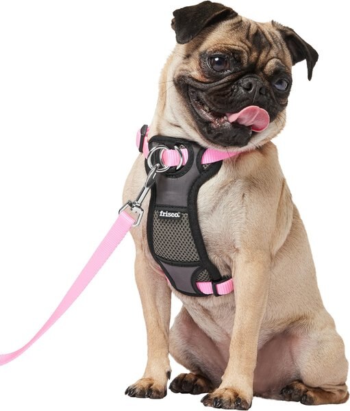Frisco Padded Nylon No Pull Dog Harness, Pink, 16 to 22-in chest slide 1 of 6