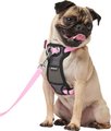 Frisco Padded Nylon No Pull Dog Harness, Pink, 16 to 22-in chest