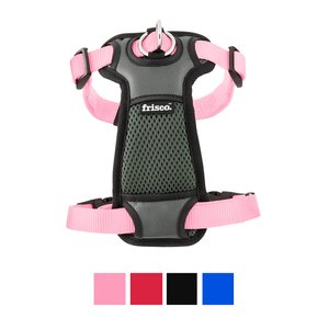 Frisco Padded Nylon No Pull Dog Harness, Pink, 22 to 34-in chest