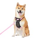 Frisco Padded No Pull Dog Harness, Pink, M- Girth 22 to 34-in