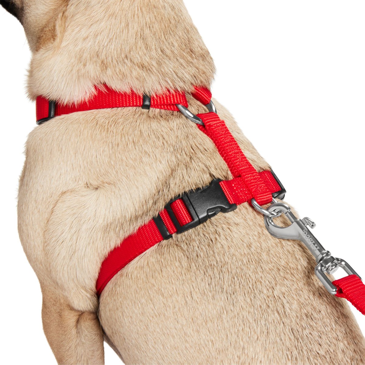 FRISCO Padded Nylon No Pull Dog Harness, Red, 16 to 22-in chest - Chewy.com