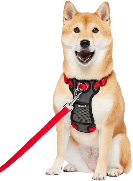 Frisco Padded Nylon No Pull Dog Harness, Red, 22 to 34-in chest slide 1 of 8