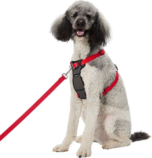 Frisco Padded Nylon No Pull Dog Harness, Red, 26 to 40-in chest slide 1 of 6