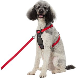 Frisco solid 2025 nylon dog leash