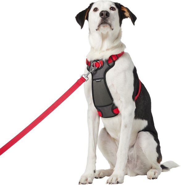 Out Of Stock - Frisco Padded Nylon No Pull Dog Harness, Red, Xl- Girth 