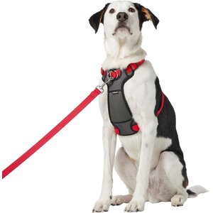 Frisco Padded Nylon No Pull Dog Harness, Red, 32 to 50-in chest