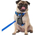 Frisco Padded Nylon No Pull Dog Harness, Blue, 16 to 22-in chest