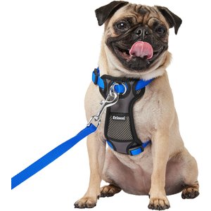 Frisco Padded Nylon No Pull Dog Harness, Blue, 16 to 22-in chest