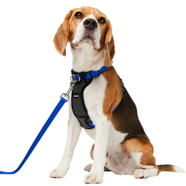 Out Of Stock - Frisco Padded Nylon No Pull Dog Harness, Blue, M- Girth 