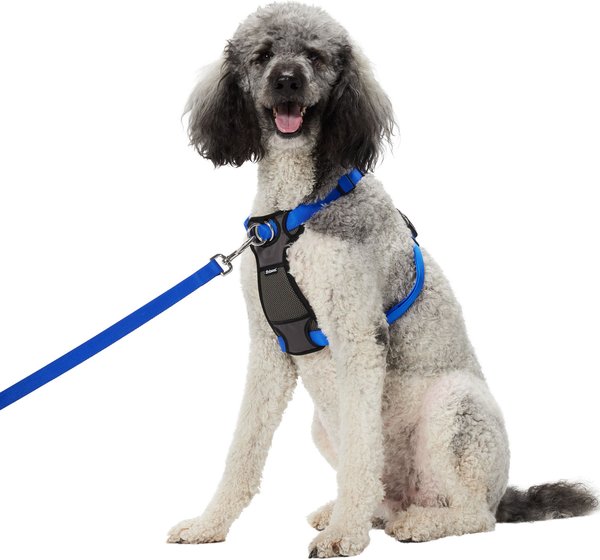 Frisco Padded Nylon No Pull Dog Harness, Blue, 26 to 40-in chest slide 1 of 6