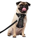 Frisco Padded Nylon No Pull Dog Harness, Black, 16 to 22-in chest