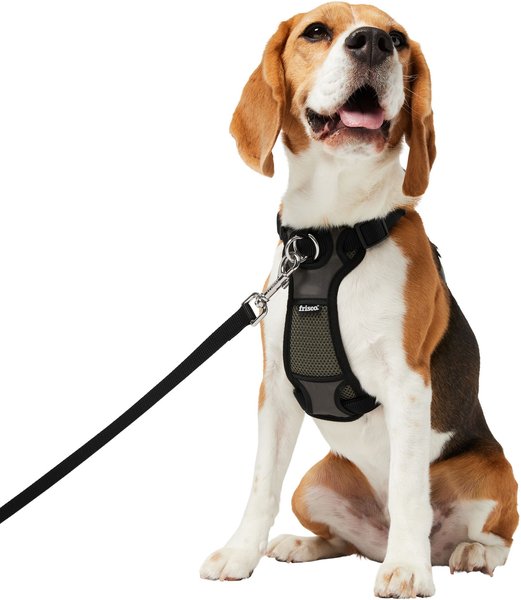 Frisco Padded Nylon No Pull Dog Harness, Black, M- Girth 22 To 34-in 