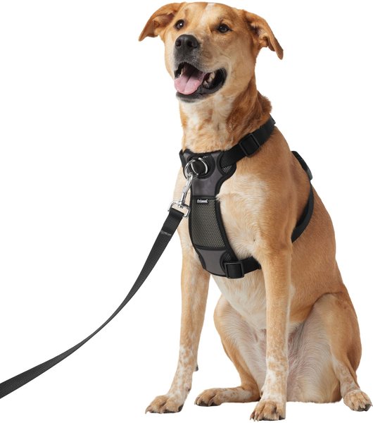 FRISCO Padded Nylon No Pull Dog Harness, Black, L- Girth 26 to 40-in ...