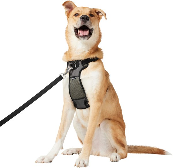 Out of Stock - FRISCO Padded Nylon No Pull Dog Harness, Black, XL ...